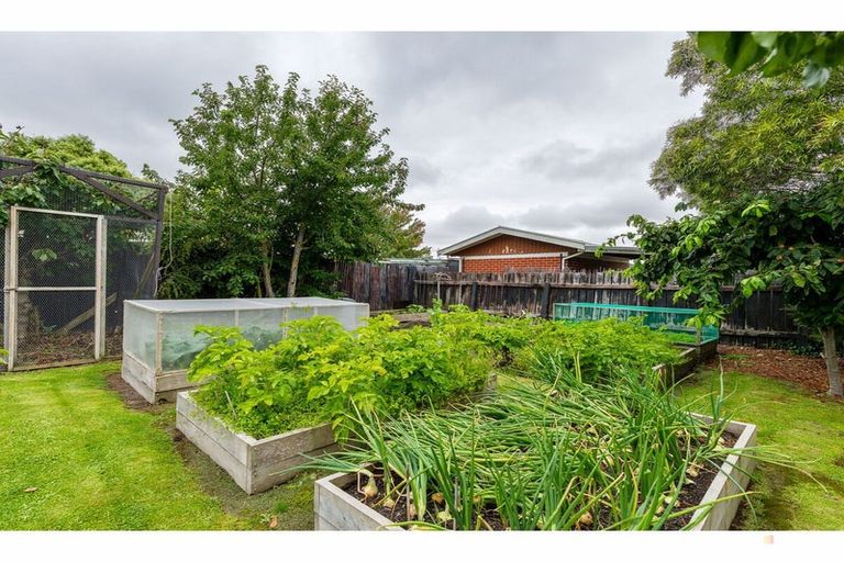 Photo of property in 17 Harris Street, Waimate, 7924