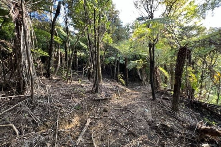 Photo of property in 211 Krippner Road, Puhoi, Warkworth, 0994