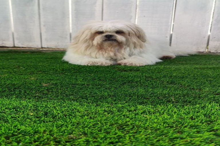 Photo of property in 4 Turkington Street, Tawa, Wellington, 5028