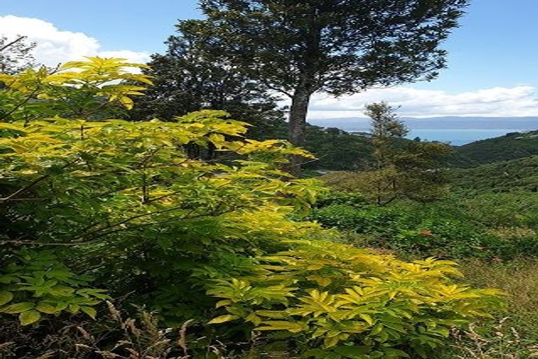 Photo of property in 53 Ngaio Gorge Road, Ngaio, Wellington, 6035