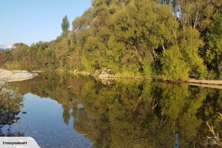 Photo of property in 242 Arapito Road, Karamea, 7893