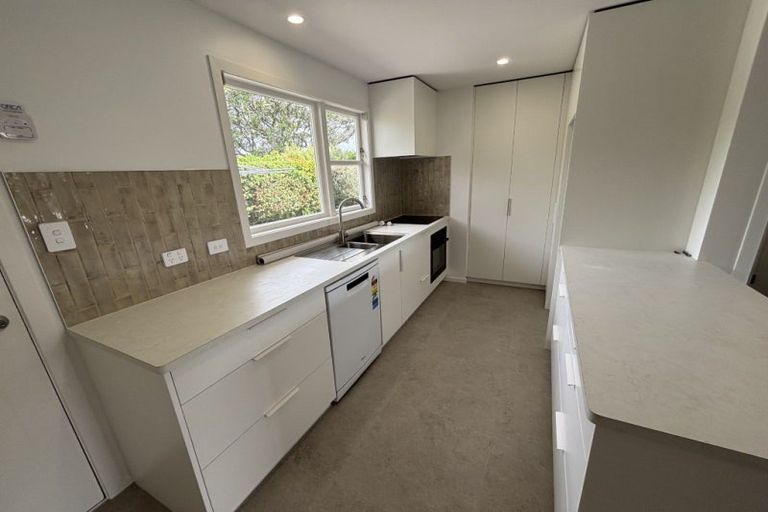 Photo of property in 55 Windsor Street, Terrace End, Palmerston North, 4410