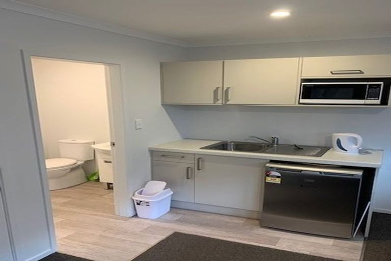 Photo of property in 1/9 Greensboro Street, Hamilton East, Hamilton, 3216