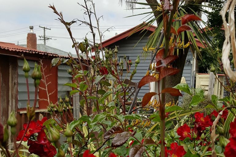 Photo of property in 48 Birkett Street, Temuka, 7920