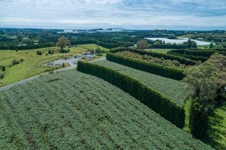 Photo of property in 56 Kauri Point Road, Laingholm, Auckland, 0604