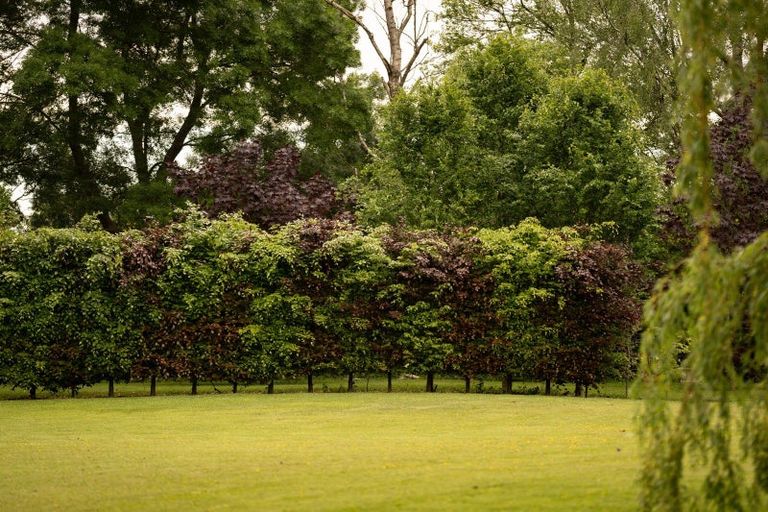 Photo of property in 212 Beach Road, Elgin, Ashburton, 7777