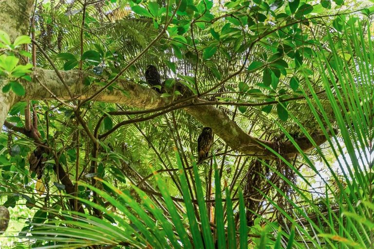 Photo of property in 120 Newton Road, Maungatapere, Whangarei, 0170