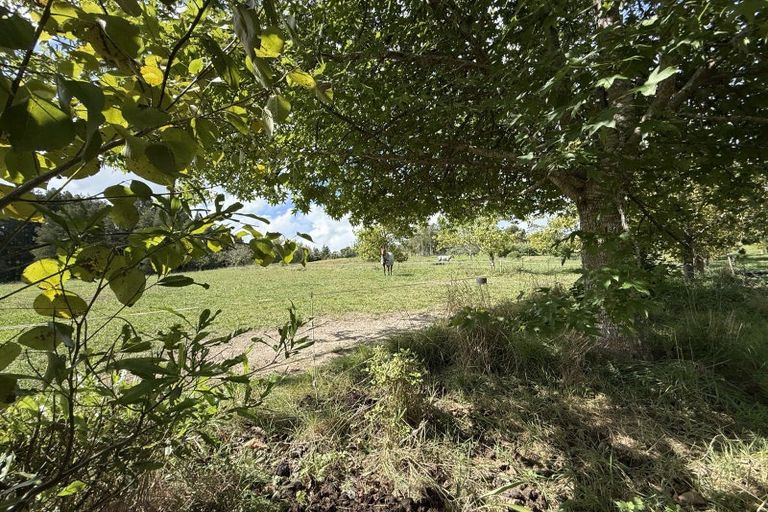Photo of property in 473 Whatitiri Road, Poroti, Whangarei, 0179