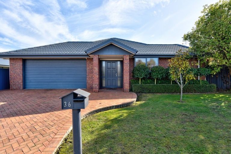 Photo of property in 36 Ruia Street, Gore, 9710