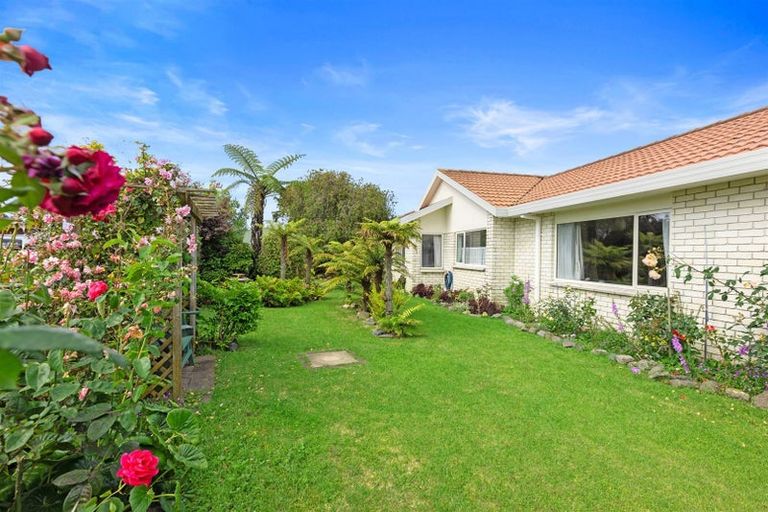 Photo of property in 4 Liftan Place, Mount Maunganui, 3116