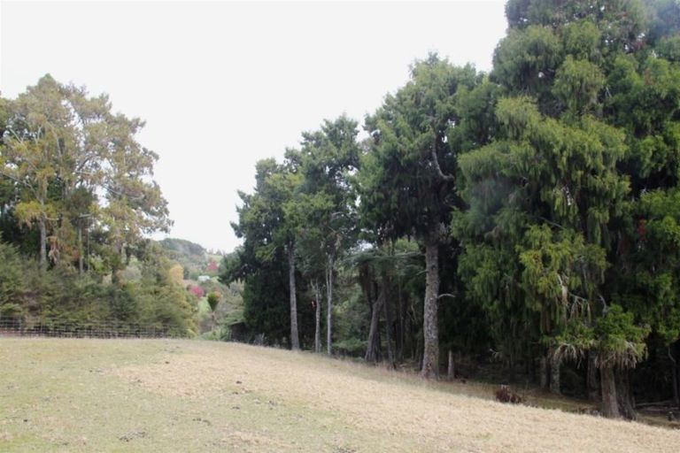 Photo of property in 105 Judge Richardson Drive, Opaheke, Papakura, 2584