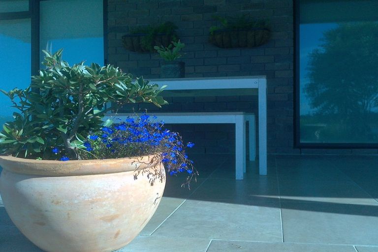 Photo of property in 163b Kingswood Road, Brookfield, Tauranga, 3110