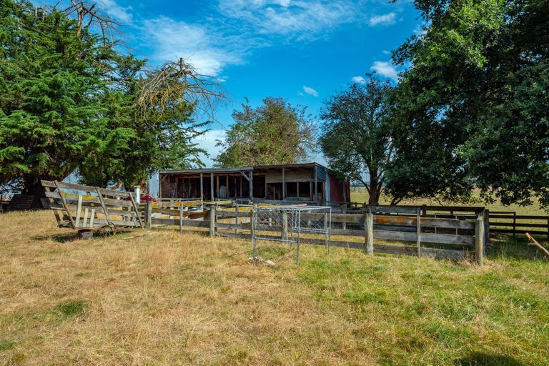 Photo of property in 565 Orari Station Road, Geraldine, 7992