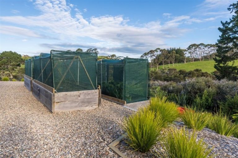 Photo of property in 38 Donaldson Drive, Coatesville, Albany, 0793