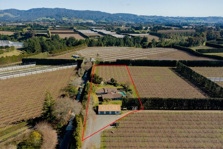 Photo of property in 26 Cheetham Avenue, Te Puke, 3182