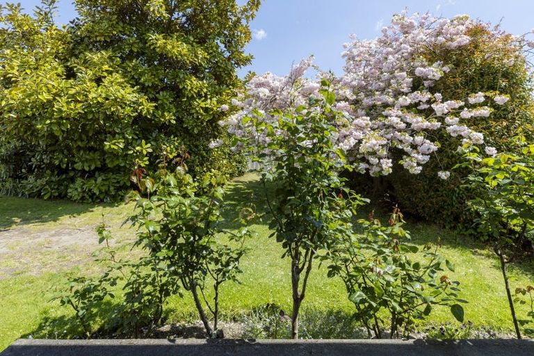 Photo of property in 1/22 Hyde Avenue, Richmond Heights, Taupo, 3330