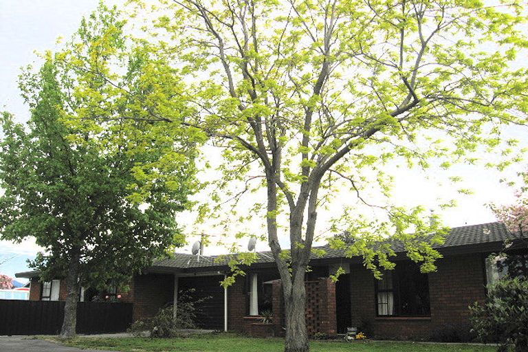 Photo of property in 146 Charles Street, Blenheim, 7201