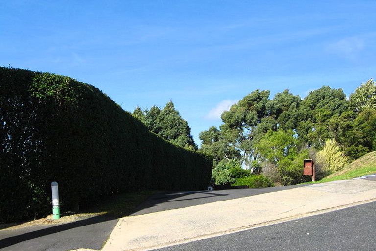 Photo of property in 45 Centennial Avenue, Helensburgh, Dunedin, 9010