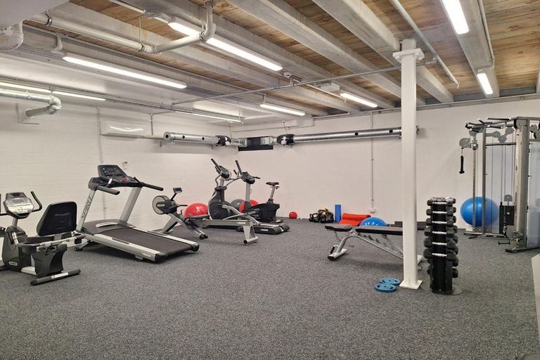 Photo of property in 508/8 Kingsland Terrace, Kingsland, Auckland, 1021