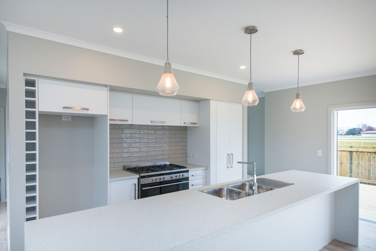 Photo of property in 44 Totara Road, Awapuni, Palmerston North, 4412