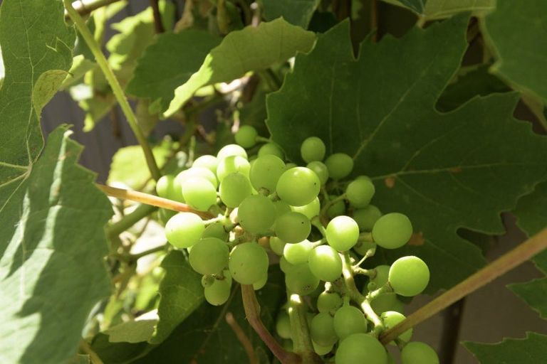 Photo of property in 9a Myres Street, Otumoetai, Tauranga, 3110