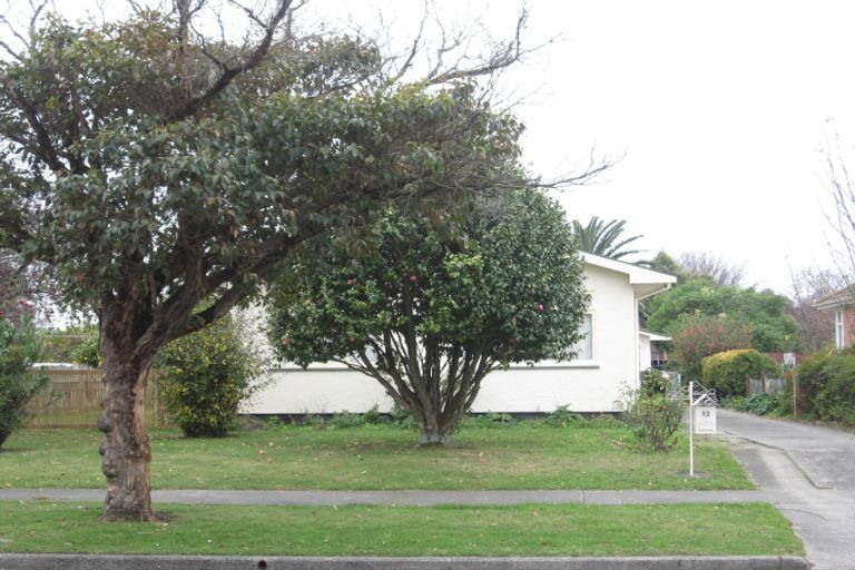 Photo of property in 12 Williams Street, Marewa, Napier, 4110