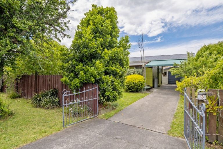 Photo of property in 3 Brian Bary Street, Redwoodtown, Blenheim, 7201