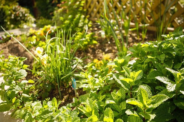 Photo of property in 4 Panorama Grove, Harbour View, Lower Hutt, 5010