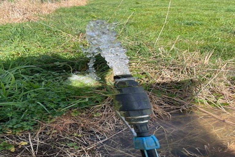 Photo of property in 81 Arapuni Road, Putaruru, 3481