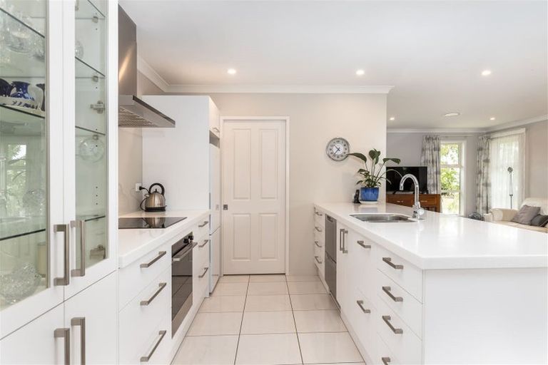 Photo of property in 217 Taylor Pass Road, Witherlea, Blenheim, 7201