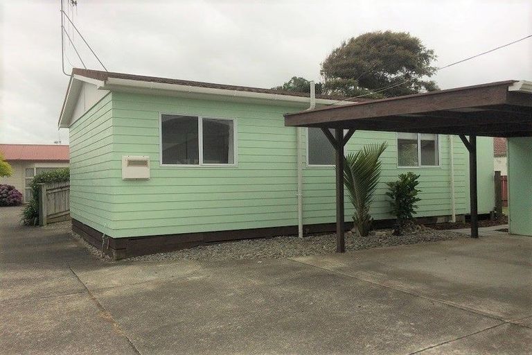 Photo of property in 66a Mako Mako Road, Levin, 5510