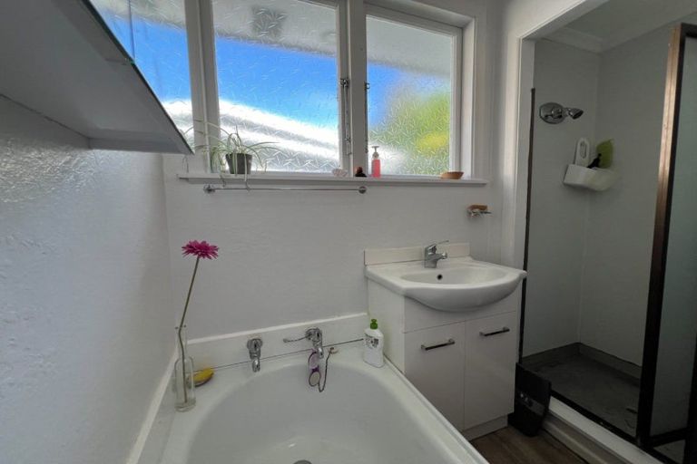 Photo of property in 149 Limbrick Street, Terrace End, Palmerston North, 4410