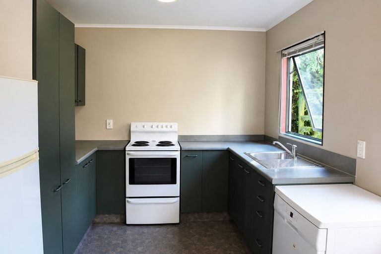 Photo of property in 63 Opoho Road, North East Valley, Dunedin, 9010