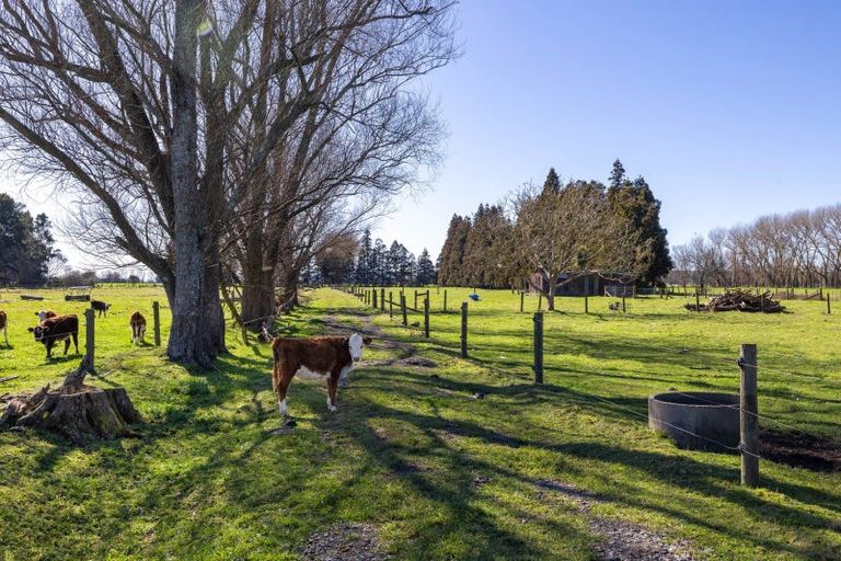 Photo of property in 386 Marshmeadow Road, Newstead, Hamilton, 3286