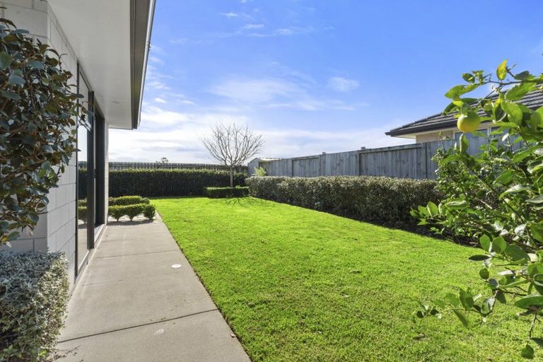 Photo of property in 17 Charlotte Drive, Omokoroa, 3114