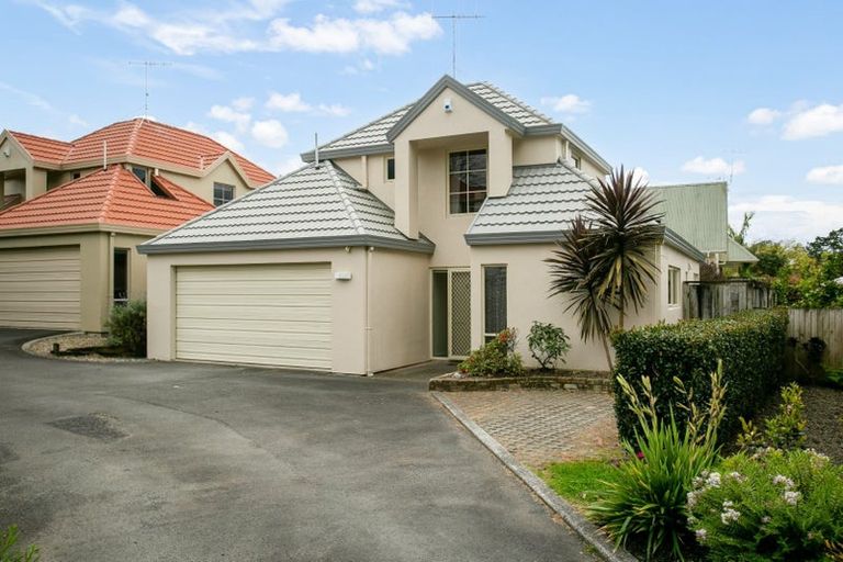 Photo of property in 6/17 Pope Terrace, Leamington, Cambridge, 3432