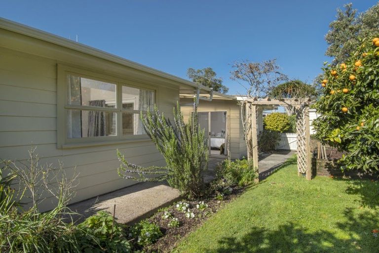 Photo of property in 19 Taipari Street, Maungatapu, Tauranga, 3112