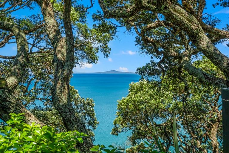 Photo of property in 18 Palm Cove, Arkles Bay, Whangaparaoa, 0932
