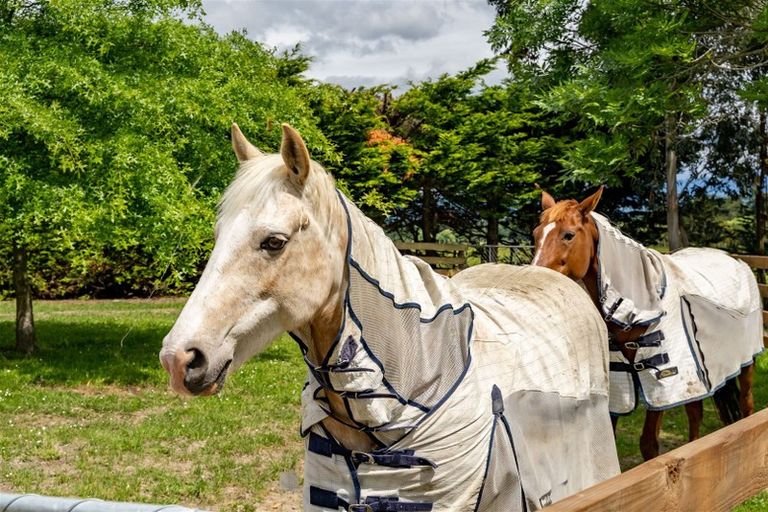 Photo of property in 78 Lees Pakaraka Road, Te Ore Ore, Masterton, 5886