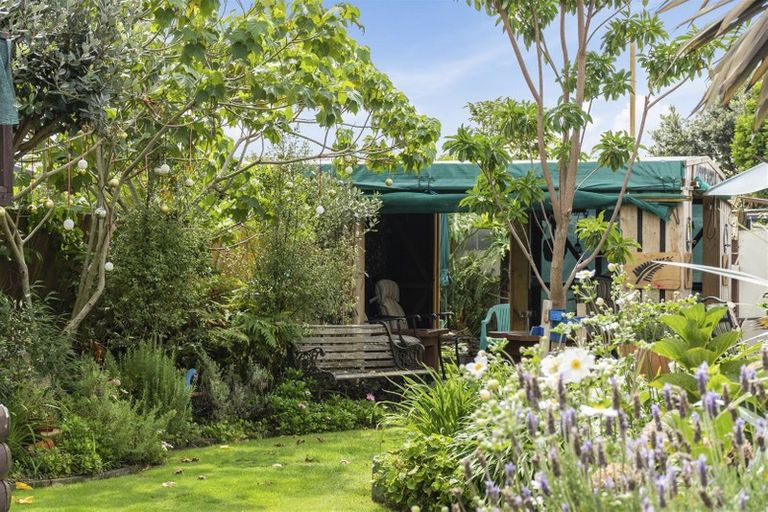 Photo of property in 31b Hibiscus Avenue, Mount Maunganui, 3116