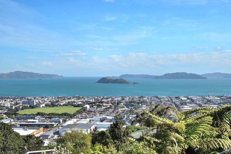 Photo of property in 3 Chestnut Grove, Maungaraki, Lower Hutt, 5010