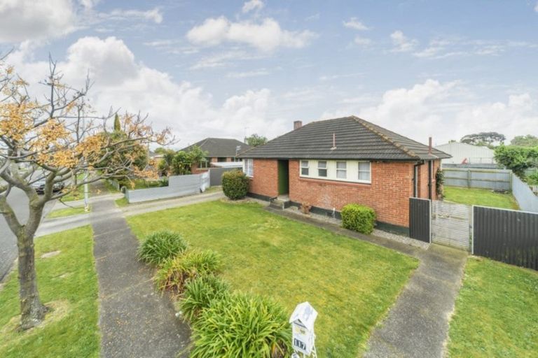 Photo of property in 117 Limbrick Street, Terrace End, Palmerston North, 4410