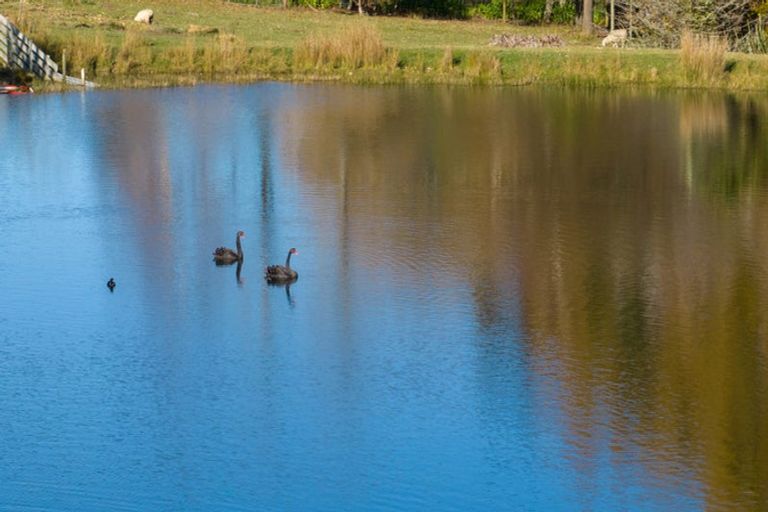 Photo of property in 142 Aporo Road, Tasman, Upper Moutere, 7173