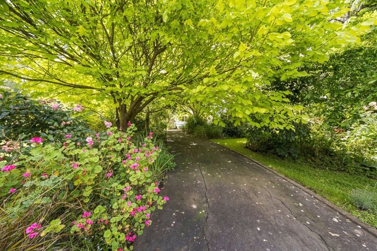 Photo of property in 659 Ashhurst Road, Ashhurst, Palmerston North, 4470