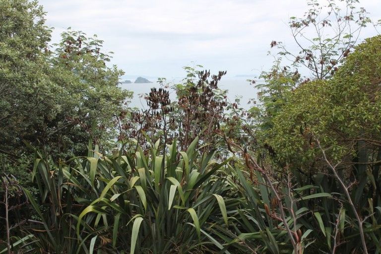 Photo of property in 4 Fantail Terrace, Tairua, 3508