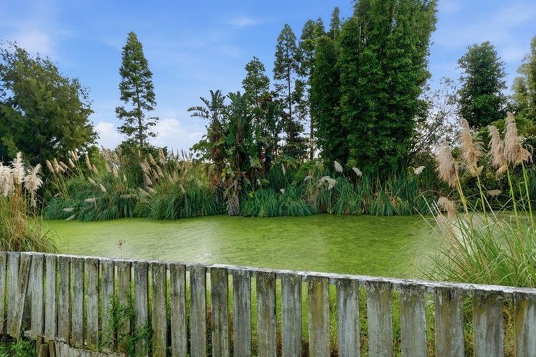 Photo of property in 65 Lascelles Drive, Dairy Flat, Albany, 0794