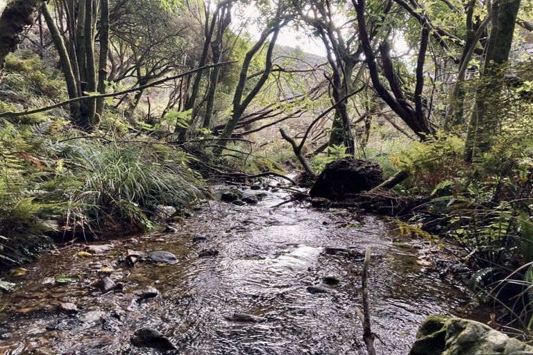 Photo of property in Long Gully Farm, 391 Southernthread Road, Brooklyn, Wellington, 6021