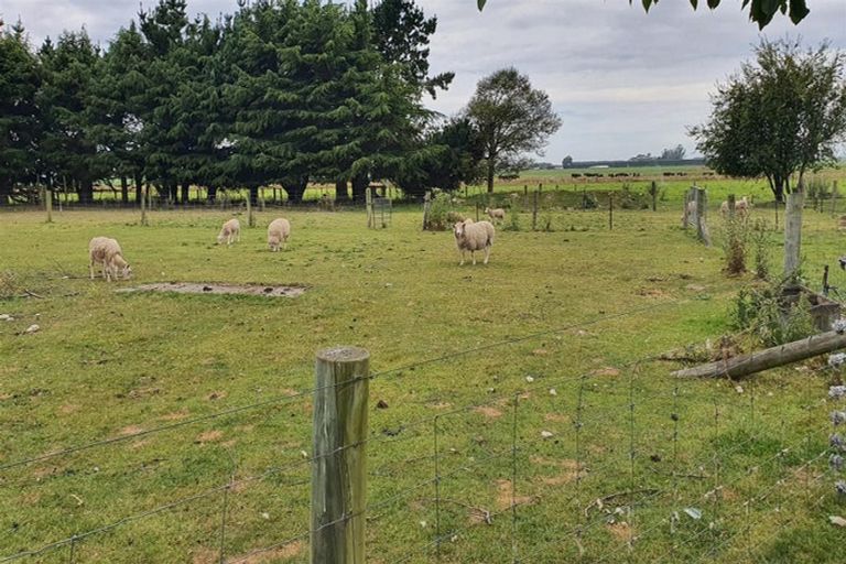 Photo of property in 239 Old Ferry Road, Morven, Waimate, 7979