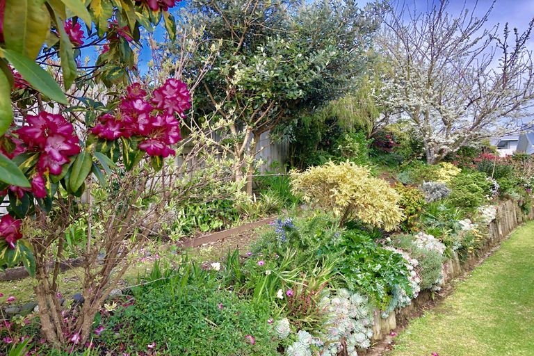 Photo of property in 2/107 Carlton Street, Te Awamutu, 3800