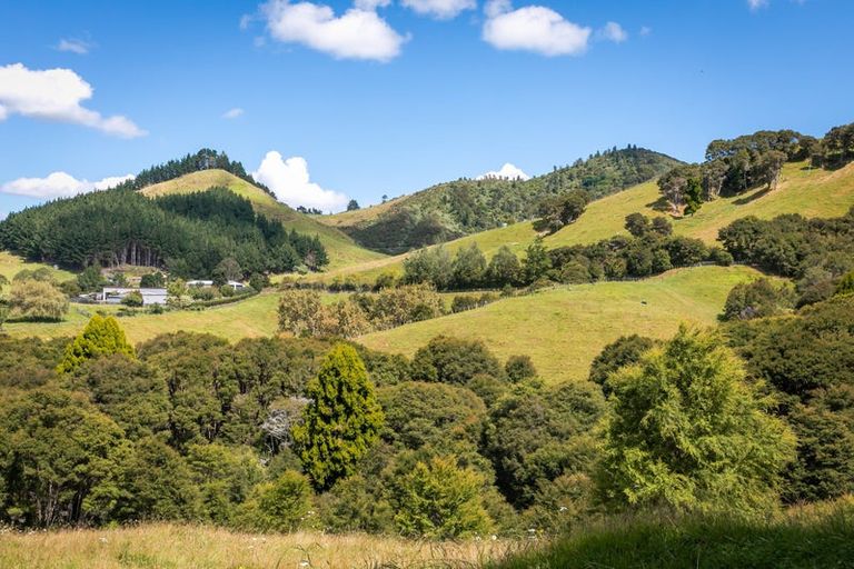 Photo of property in 49 Mangotahi Road, Thames, 3577